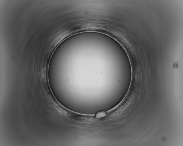 X0000100311273200806121032