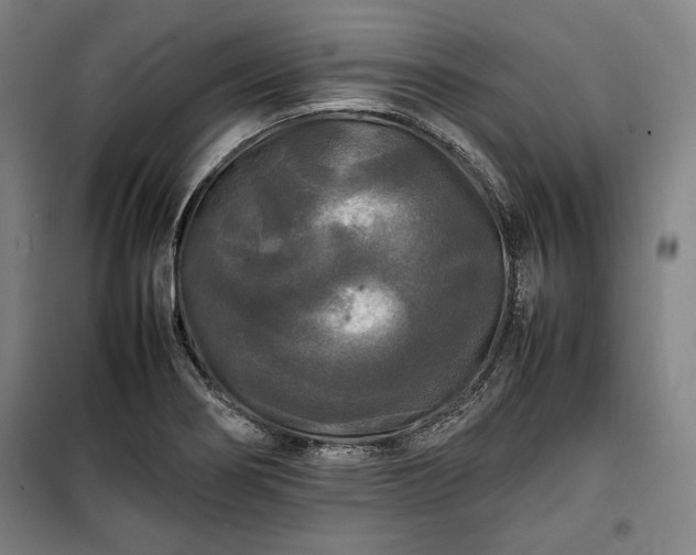 X0000100311274200806121032