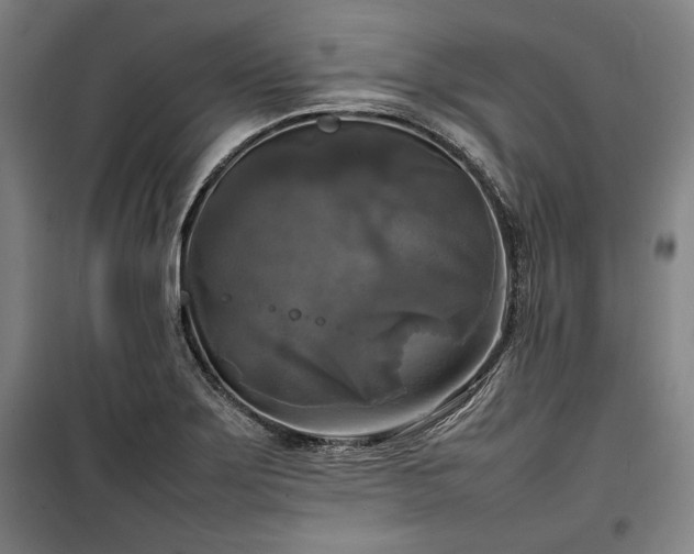 X0000100311275200806121032