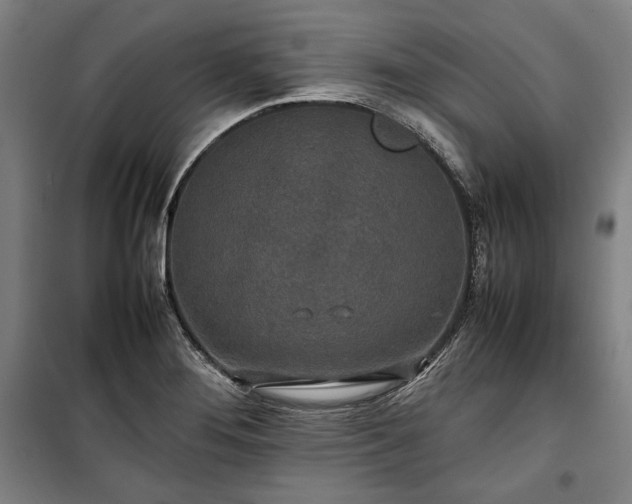 X0000100311276200806121032