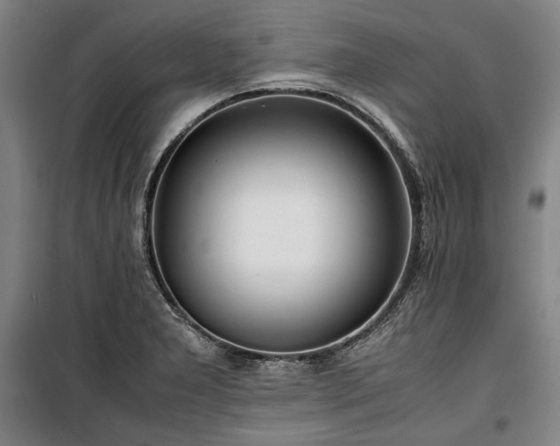 X0000100311277200806121032