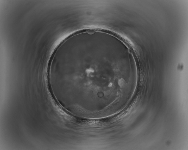 X0000100311279200806121032