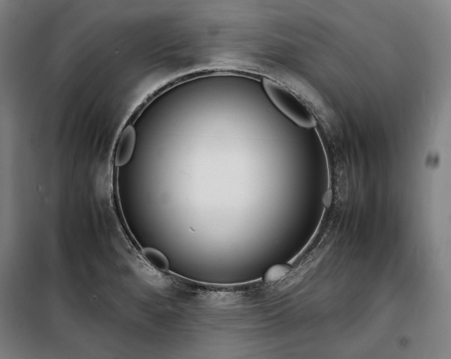 X0000100311280200806121032