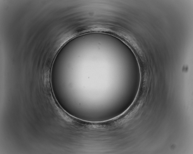X0000100311281200806121031