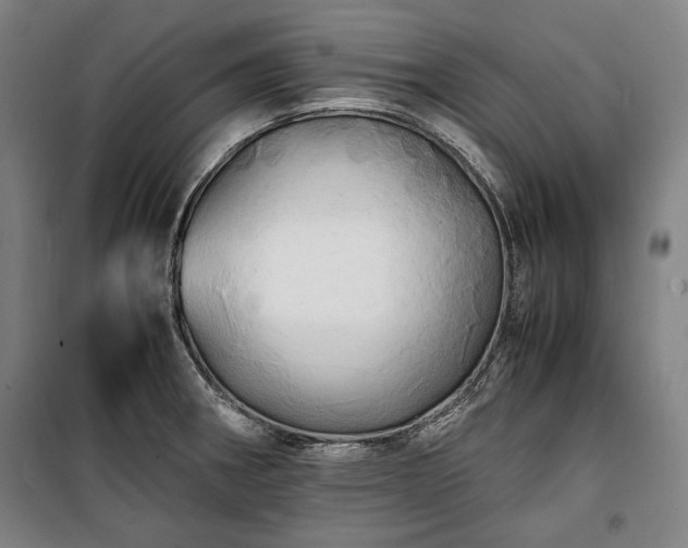 X0000100311282200806121031