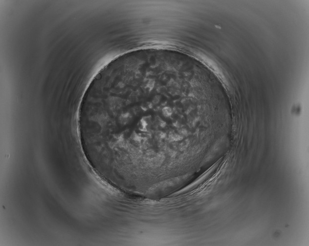 X0000100311283200806121031