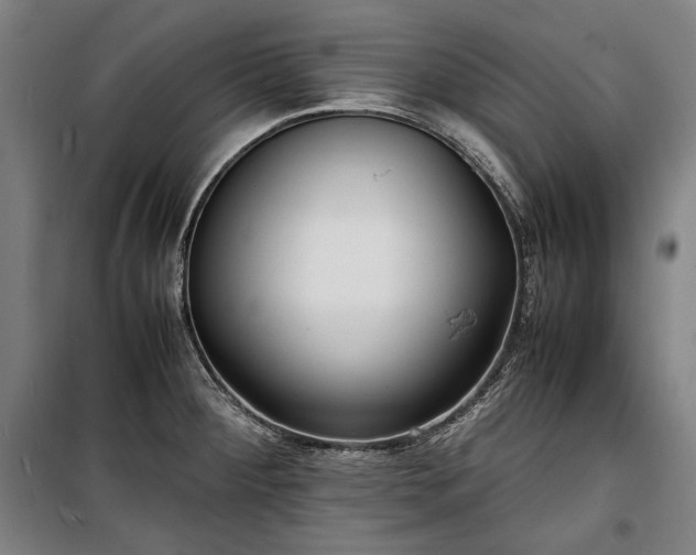 X0000100311284200806121031