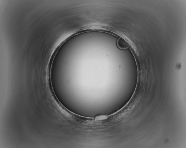 X0000100311285200806121031