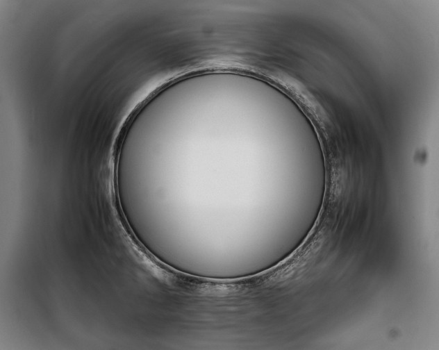 X0000100311286200806121031