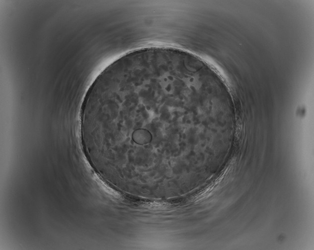 X0000100311287200806121031