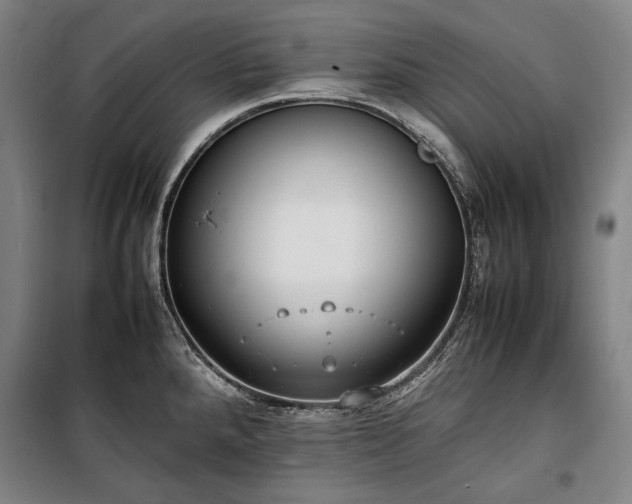 X0000100311288200806121031