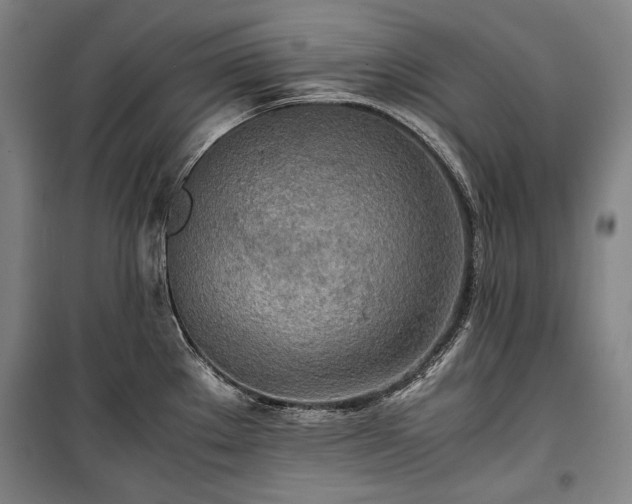 X0000100311289200806121031