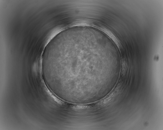X0000100311290200806121031