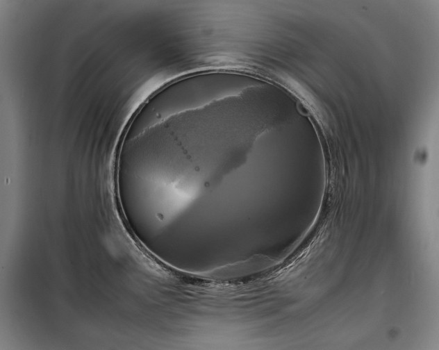 X0000100311291200806121031