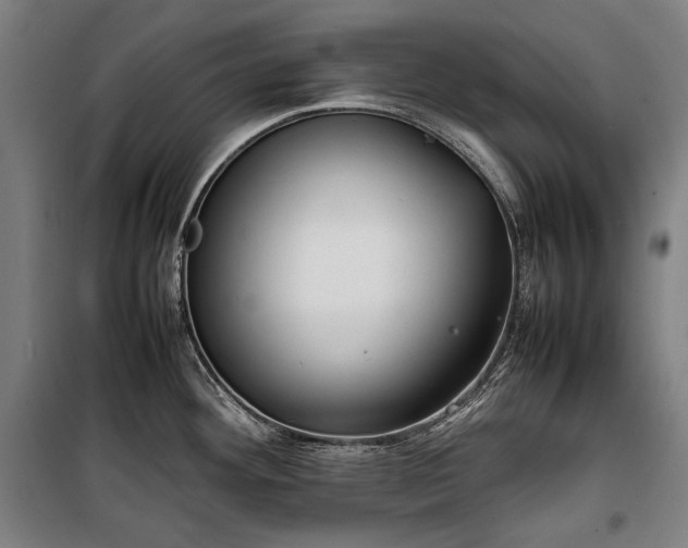 X0000100311292200806121031