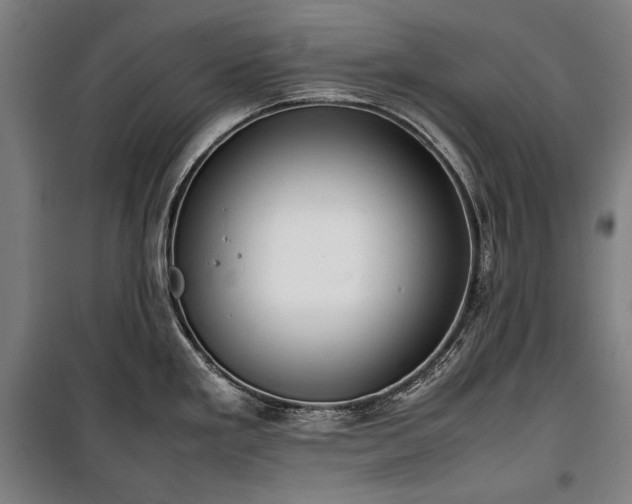 X0000100311293200806121031