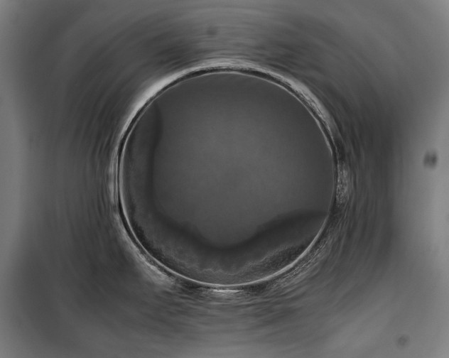 X0000100311295200806121031