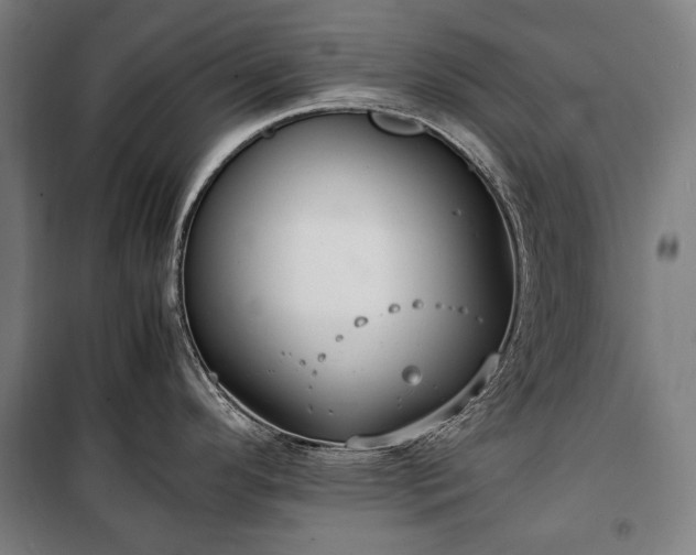 X0000100311296200806121031