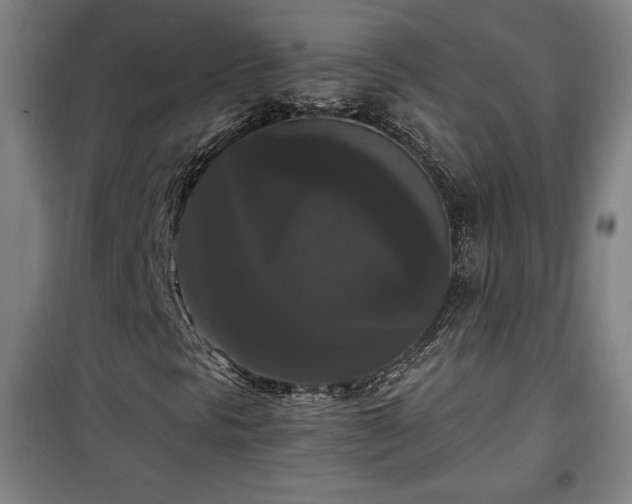 X0000100311297200806121031