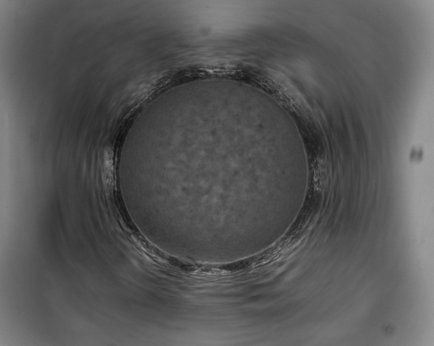 X0000100311298200806121031