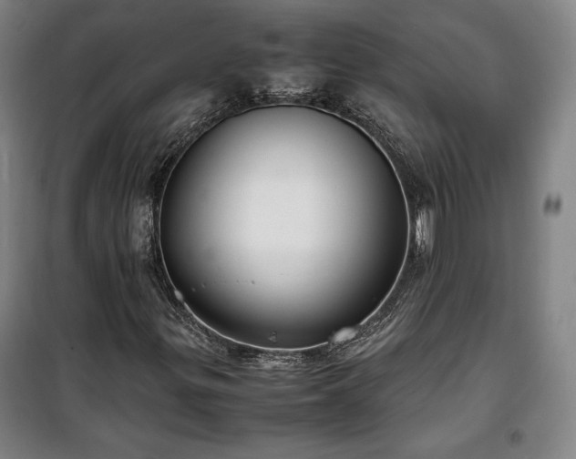 X0000100311299200806121031