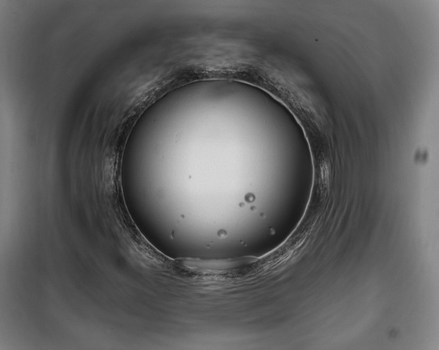 X0000100311300200806121031