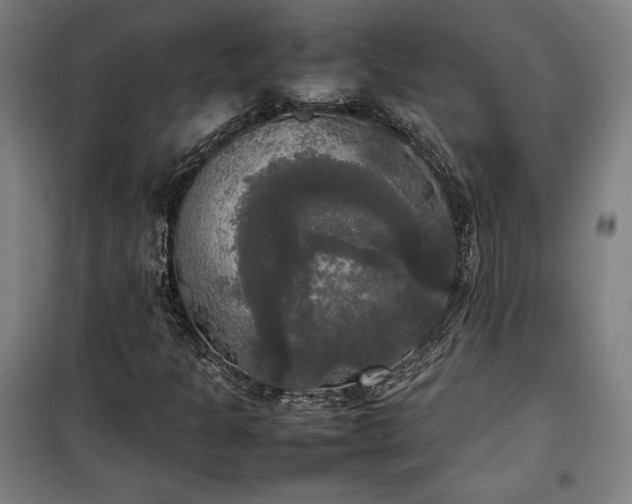 X0000100311301200806121031