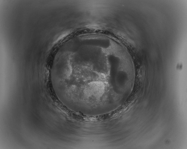 X0000100311302200806121031