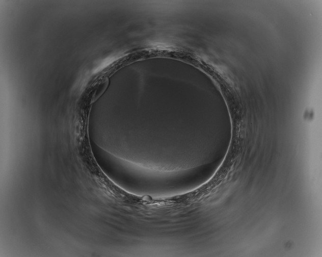 X0000100311303200806121031