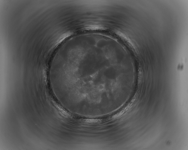 X0000100311305200806121031
