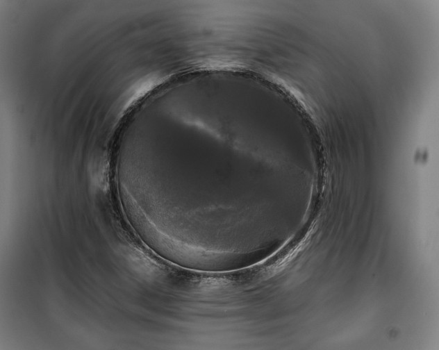 X0000100311306200806121031