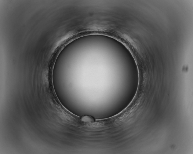 X0000100311307200806121031