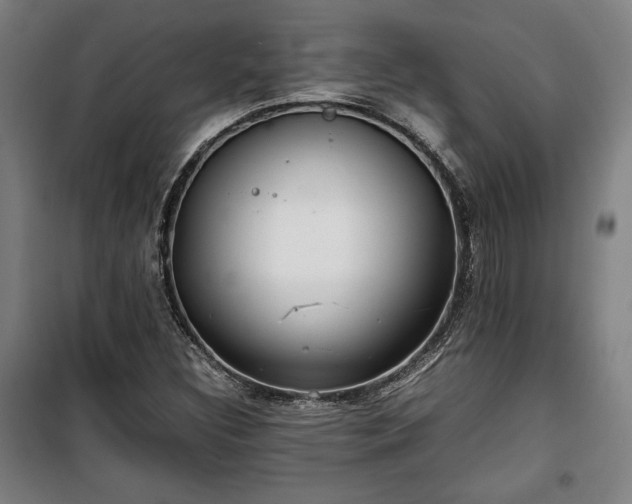 X0000100311308200806121031