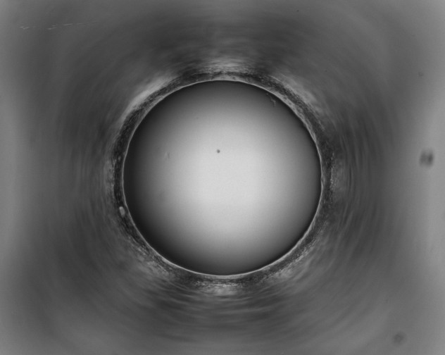 X0000100311309200806121031