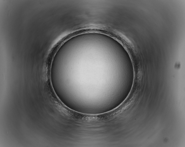 X0000100311310200806121031