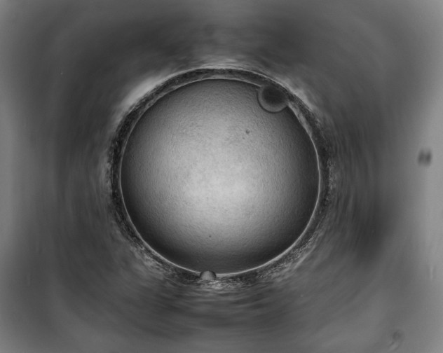X0000100311311200806121031