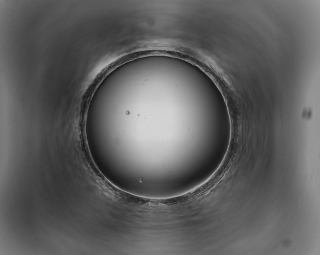 X0000100311312200806121031