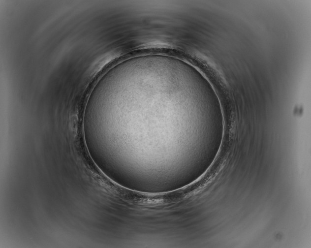 X0000100311313200806121031
