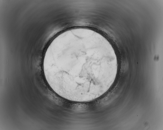 X0000100311314200806121031