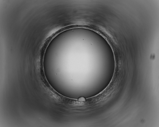 X0000100311315200806121031