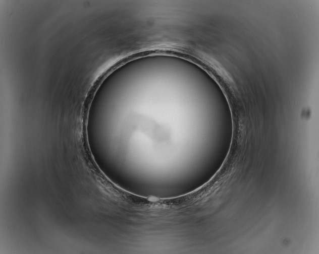 X0000100311316200806121031