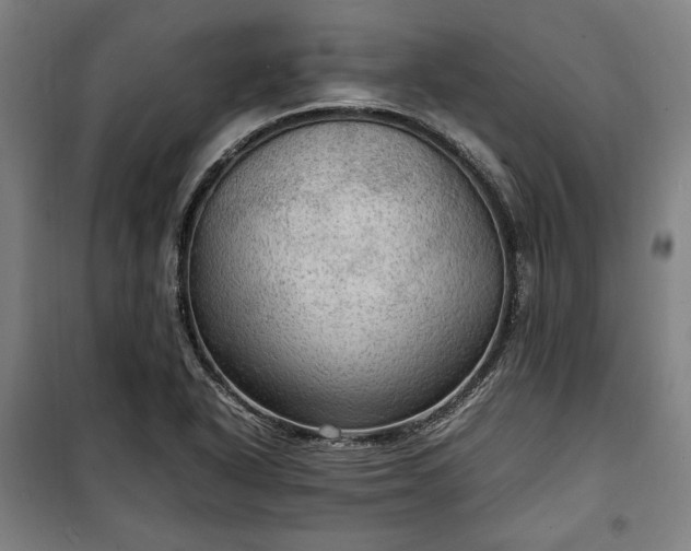 X0000100311318200806121031
