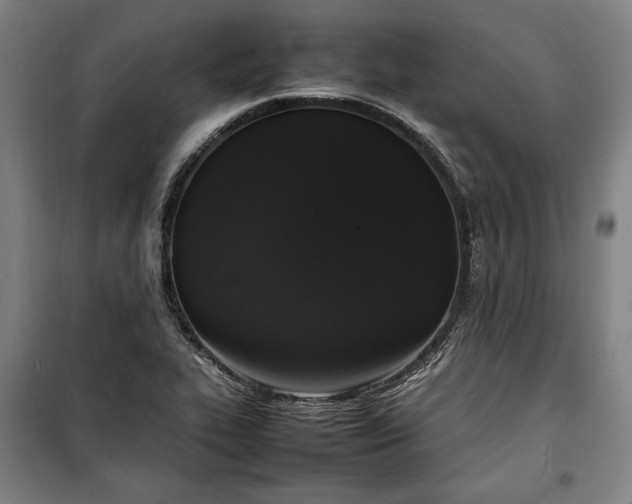 X0000100311319200806121031