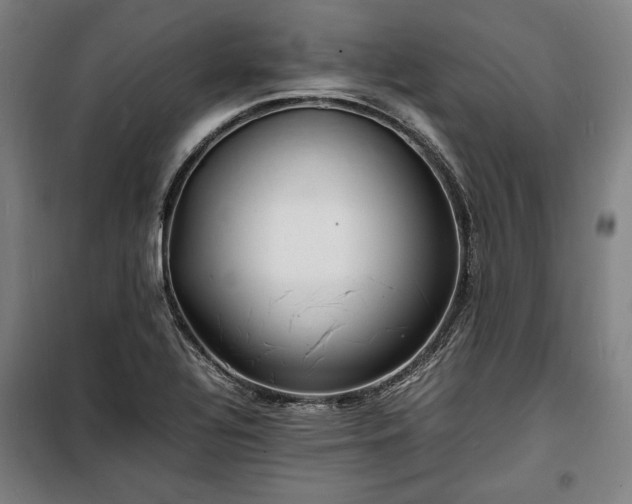 X0000100311320200806121031