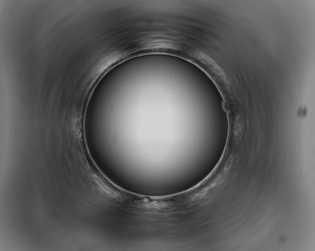 X0000100311321200806121031