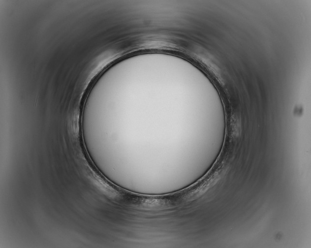 X0000100311322200806121031