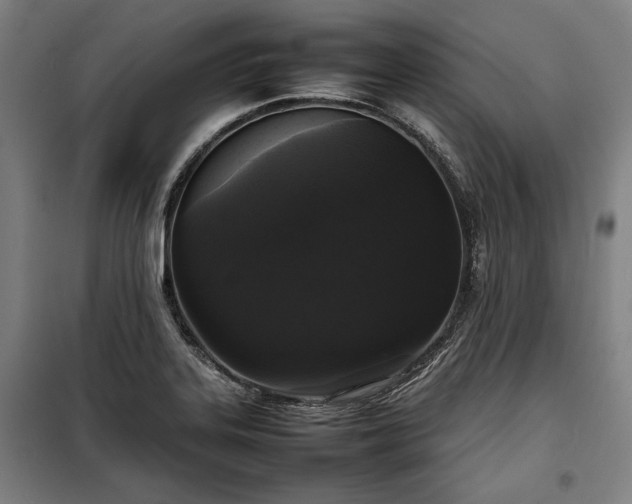 X0000100311323200806121031