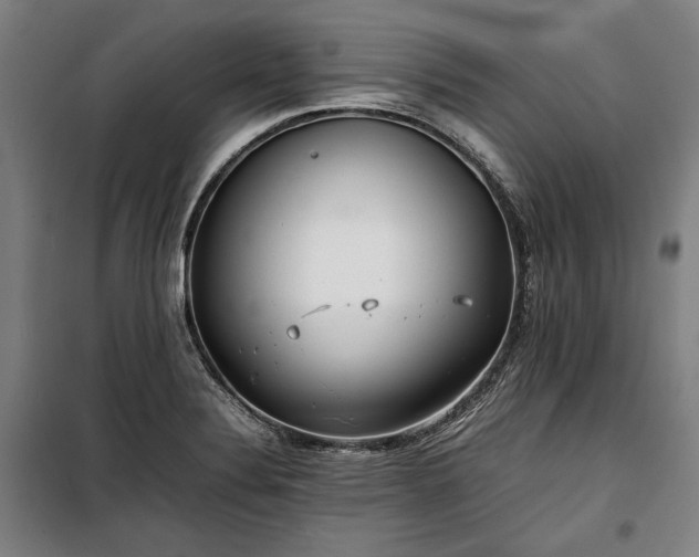 X0000100311324200806121031