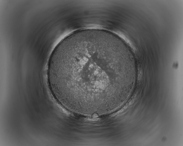 X0000100311325200806121031