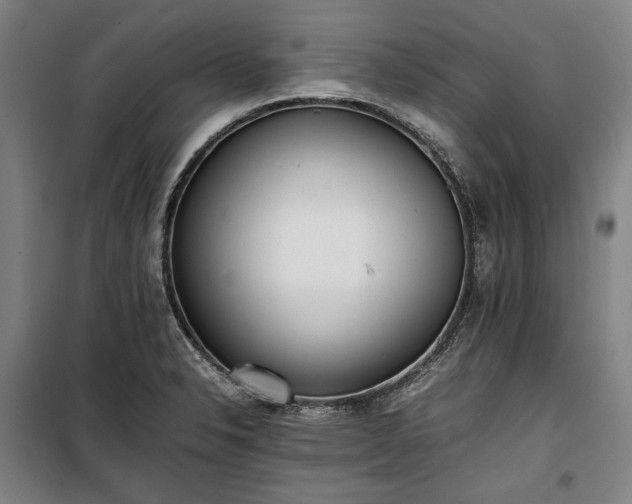 X0000100311326200806121031